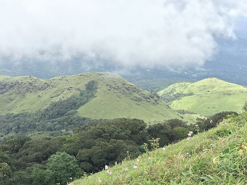Coorg Honeymoon
