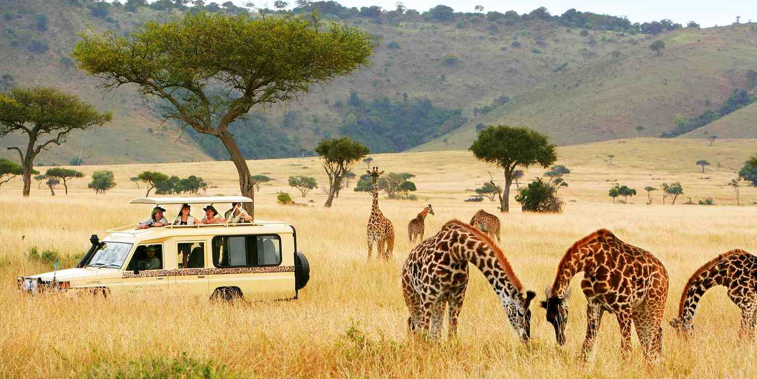 African Safari