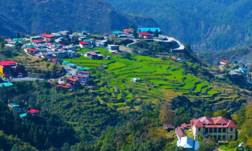 Auli