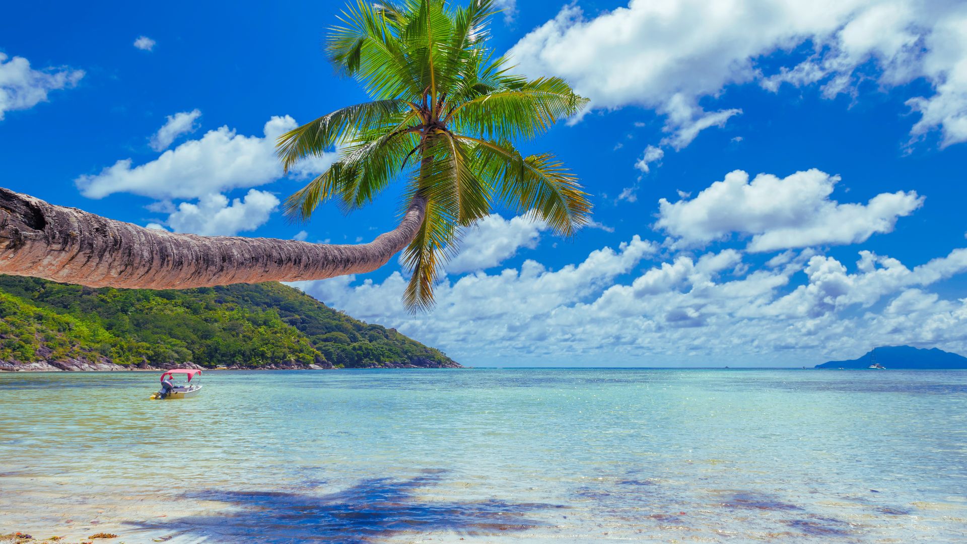 Goa